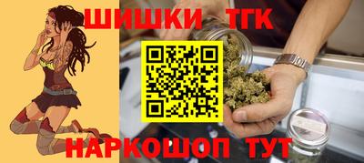 гидропоника Гусев