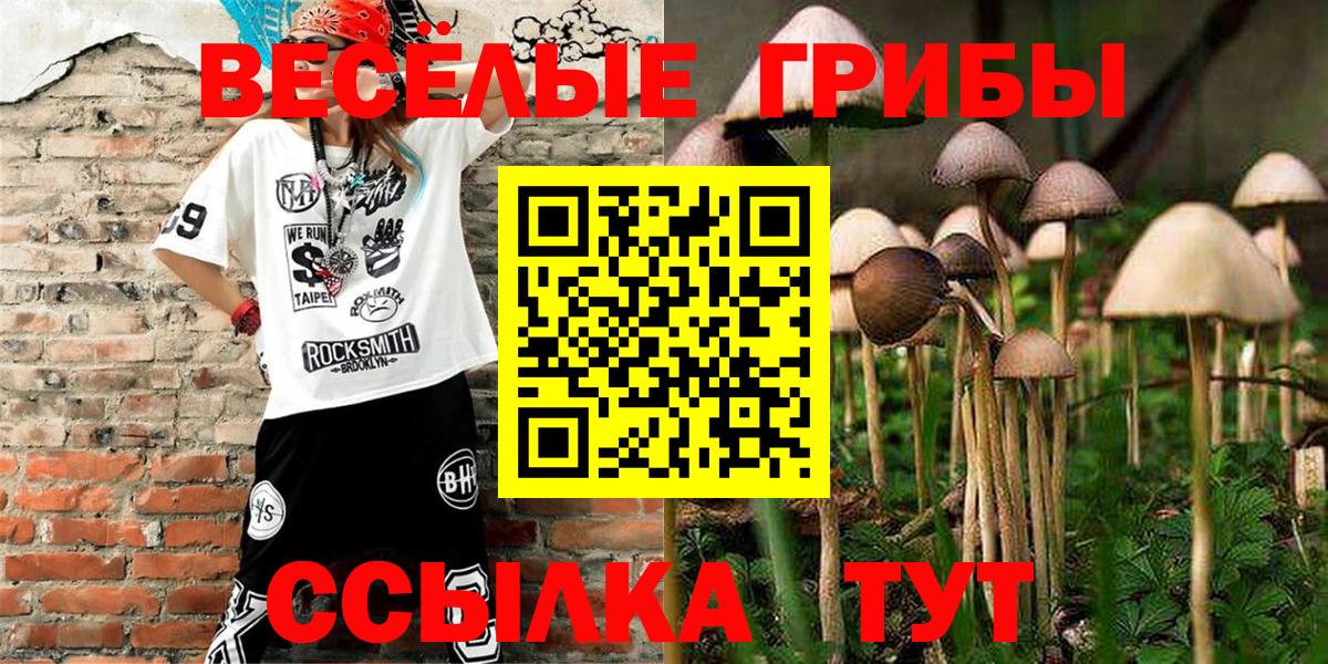 Псилоцибиновые грибы Psilocybine cubensis Верхняя Салда